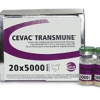 Cevac Transmune